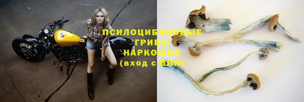 эйфоретик Приозерск