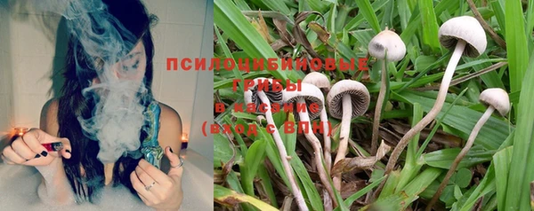 гашик Протвино