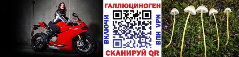 Галлюциногенные грибы Magic Shrooms  ссылка на мегу tor  Кизляр 